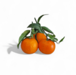 Clementine senza semi